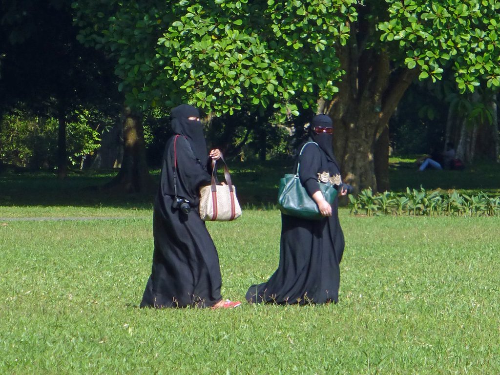 Is the Danish ‘burqa ban’ an infringement on Muslim women’s rights?